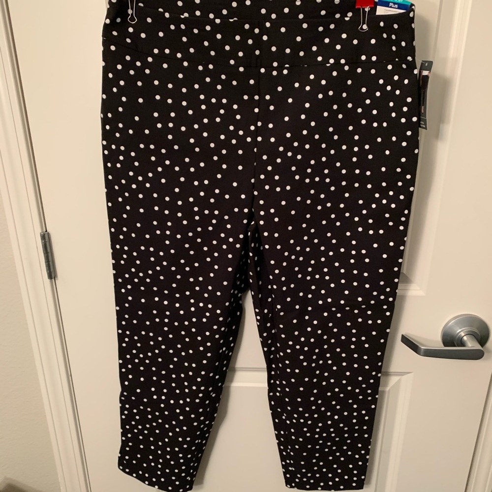 Dress pants
